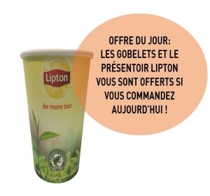 Lipton Paper Cup Offices