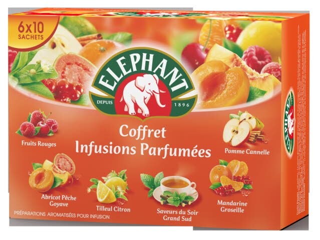 Elephant Coffret Infusions 50 Sachets Enveloppes Unilever Food Solutions
