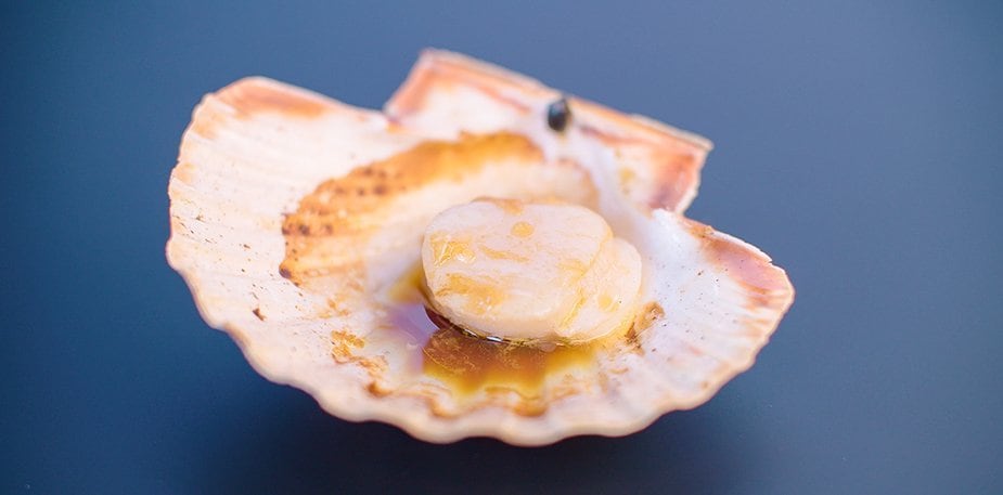 Saint-Jacques fraîche dans sa coquille – - Recette