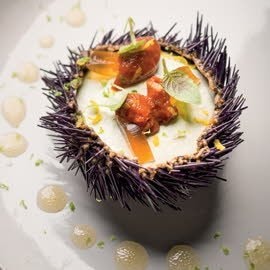Oursins, bavaroise de fenouil, gelée de crustacés