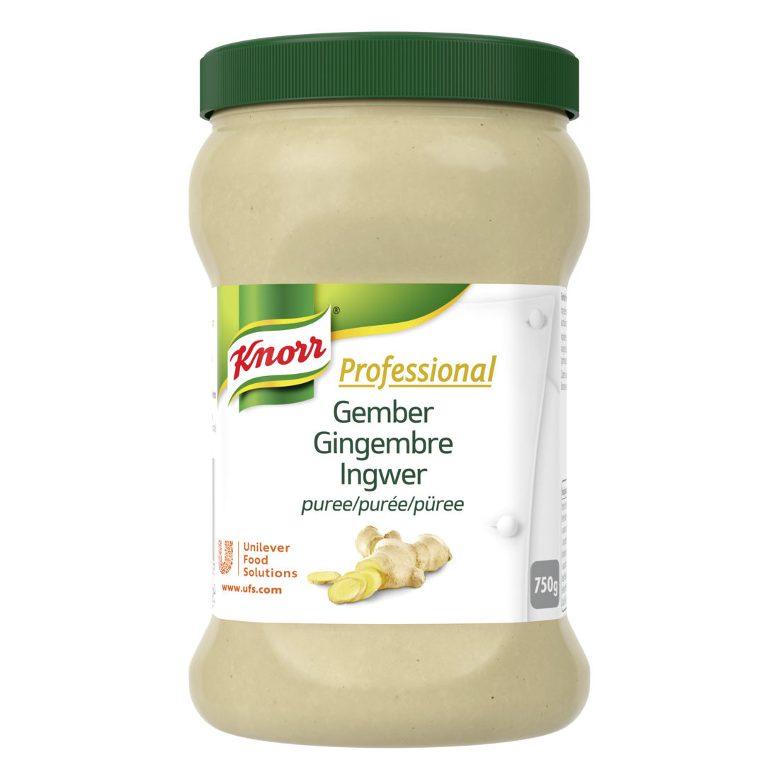 Knorr Professional Purée de gingembre Pot 750g - Knorr Purée d’Épices parfume et personnalise vos plats.