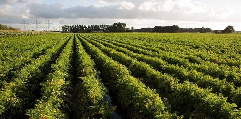 Réglementation et recommandation