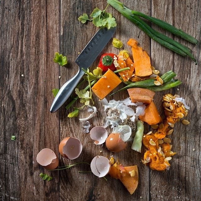 Conseils en matière de gestion des déchets