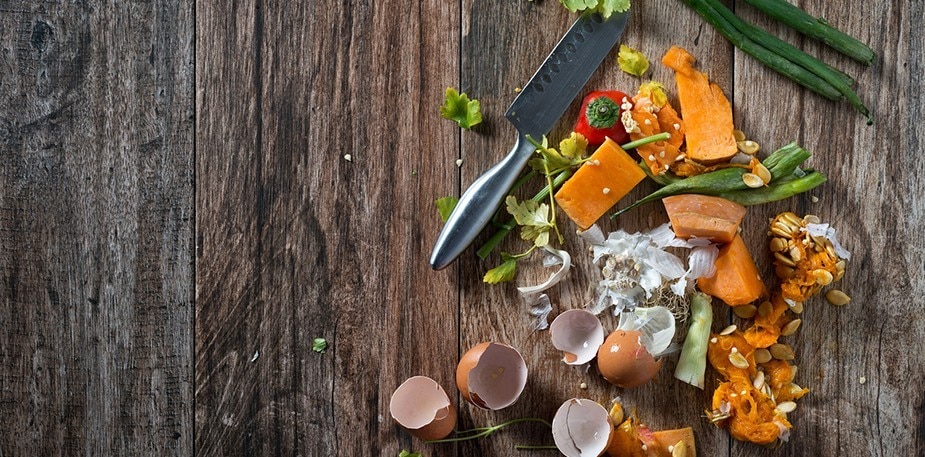 Conseils en matière de gestion des déchets