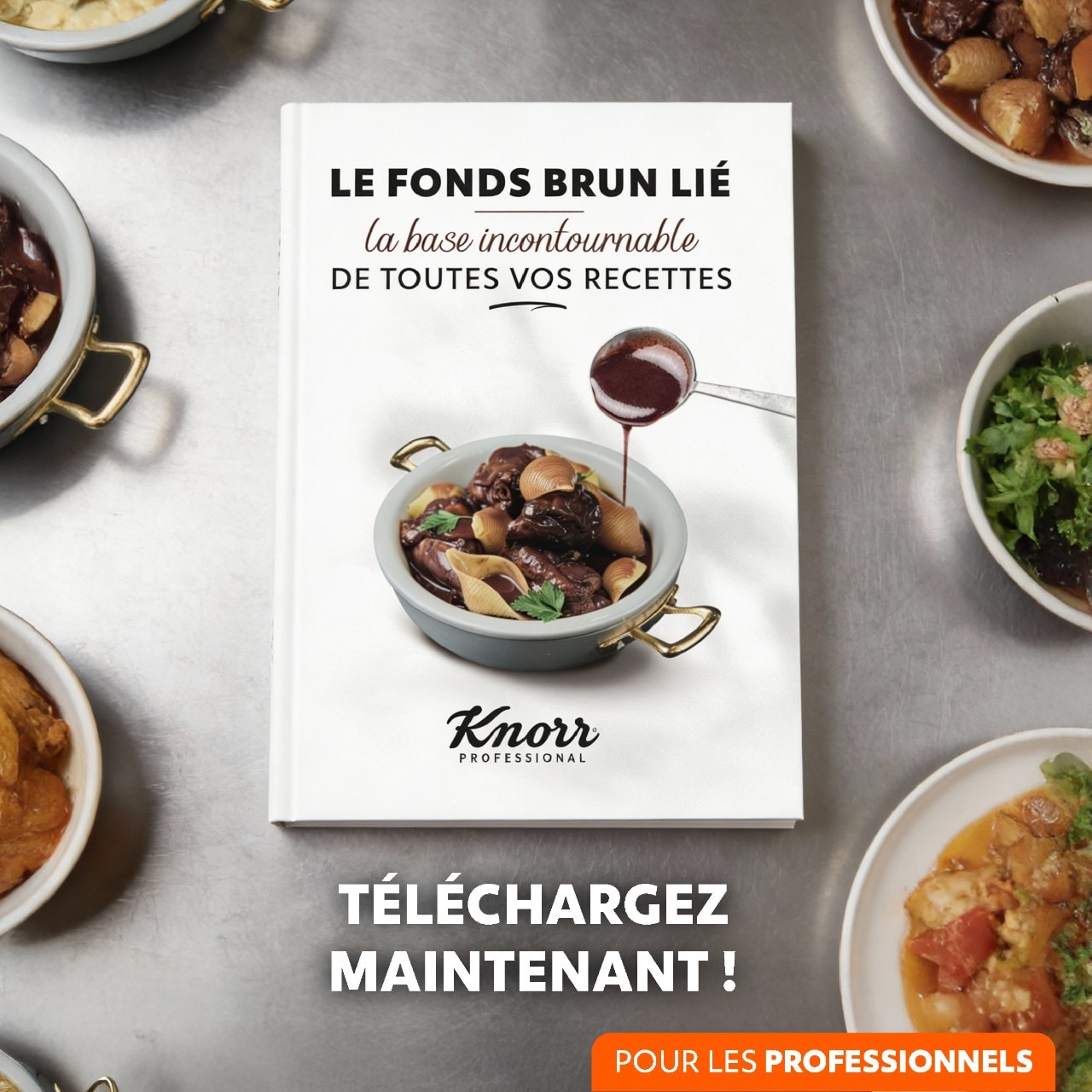 Livret recettes Fonds Brun Lié : la base de toutes vos sauces  
