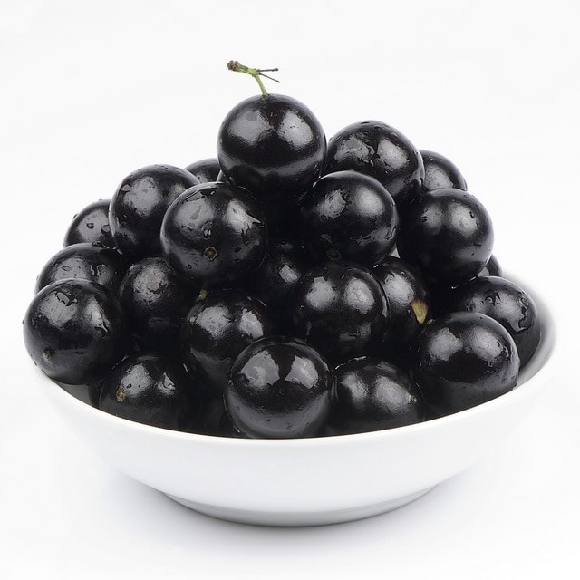 Jaboticaba
