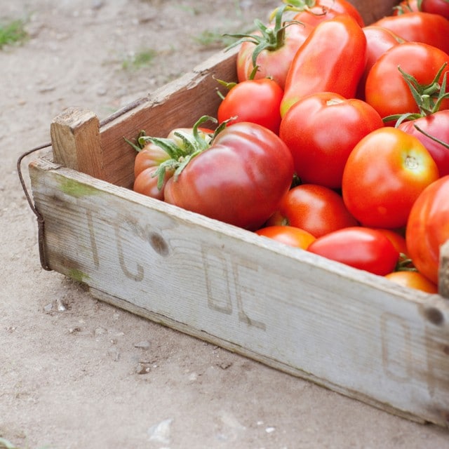 Approvisionnement durable