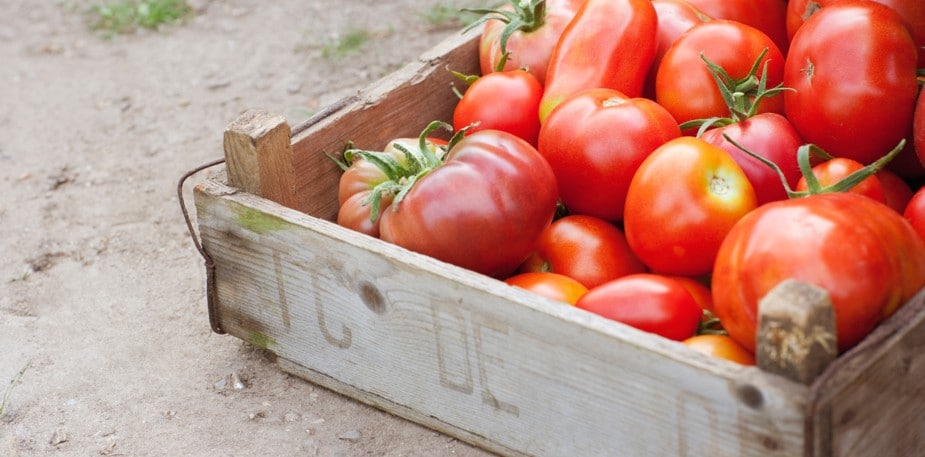 Approvisionnement durable