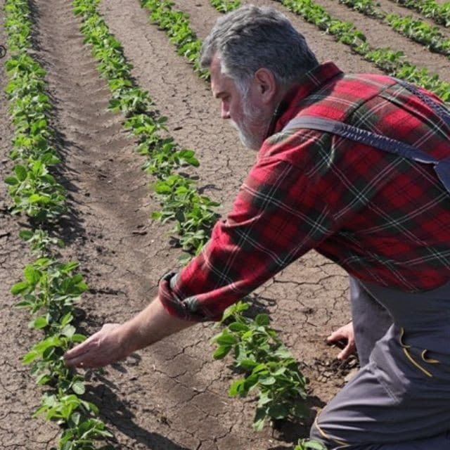 Des ingrédients durables, pour encore plus de goût