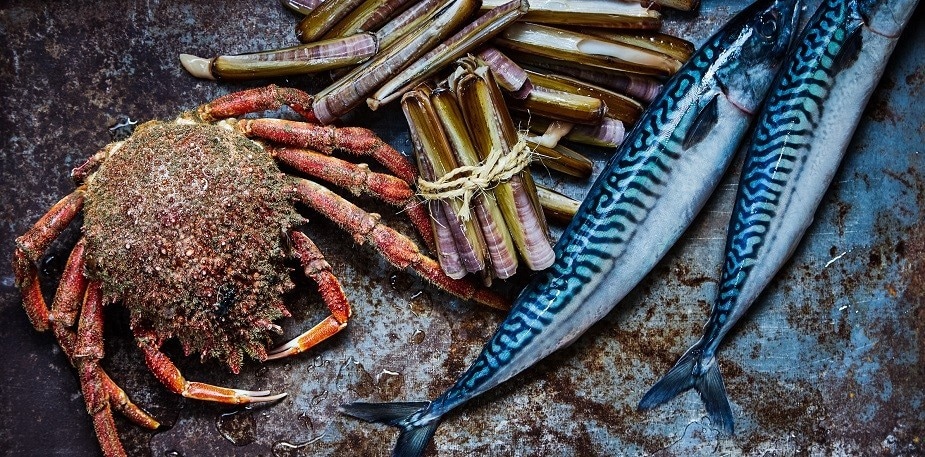 Cuisiner et animer vingt milles lieues sous les mers !