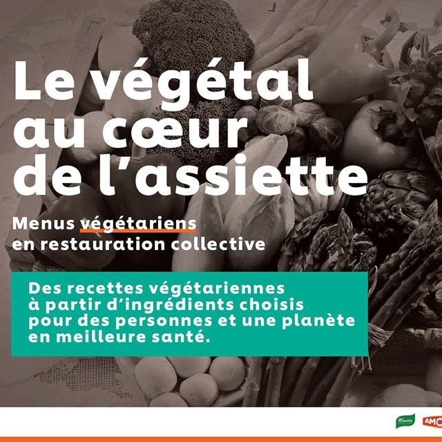 Téléchargez gratuitement notre plan de menus variés et réalisés à partir d’ingrédients de saison 