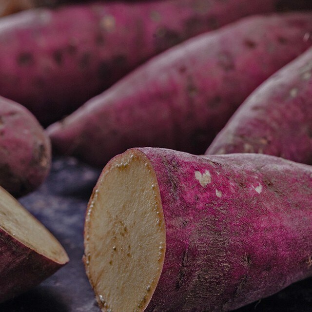 Téléchargez gratuitement notre brochure de recettes végétariennes et réalisées à partir d'ingrédients durables ! 