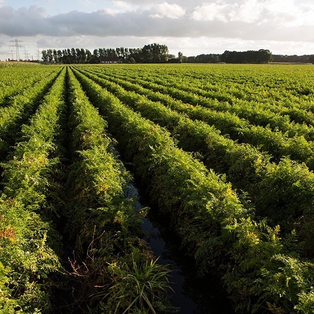 Engagements de durabilité