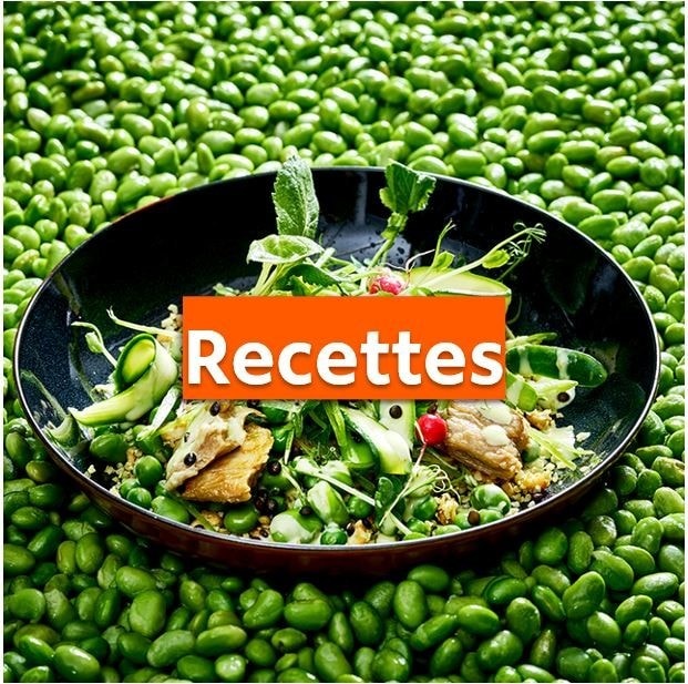 Recettes gourmandes & végétariennes