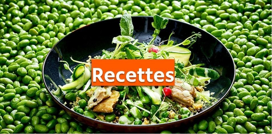 Recettes gourmandes & végétariennes