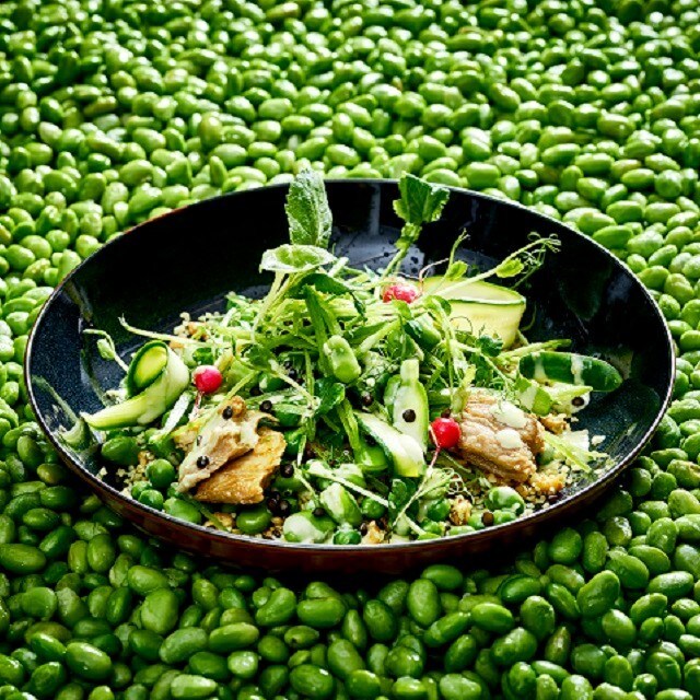 Comment mettre Le Végétal à la Carte ? 