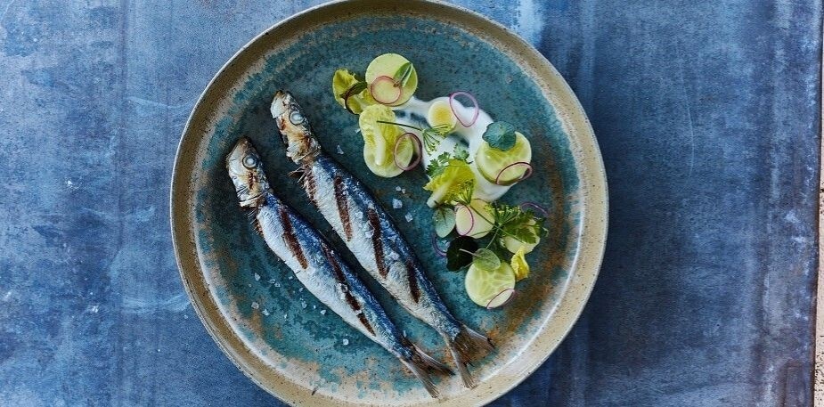 Les meilleurs poissons du premier trimestre