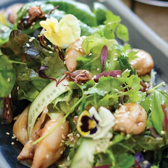Salade : 5 concepts en vogues