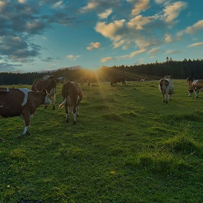 Nos engagements : Le programme Agriculteurs de Demain 