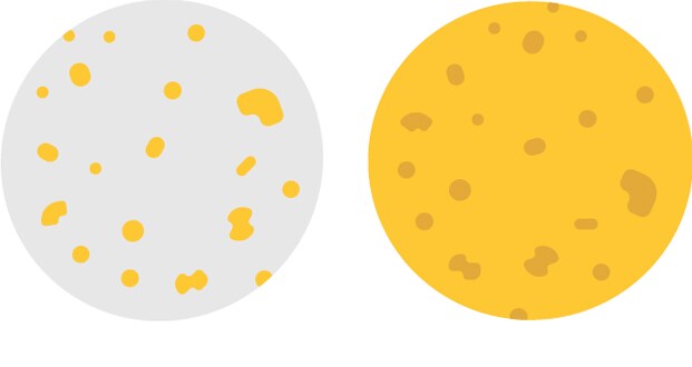 Des tortillas de maïs de qualité