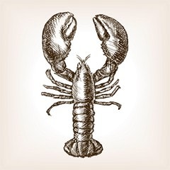 La recette d’un bon lobster roll repose sur une question d’équilibre. 