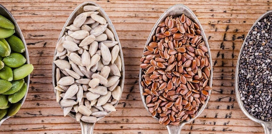 Des sources de protéines végétales pleines de saveur