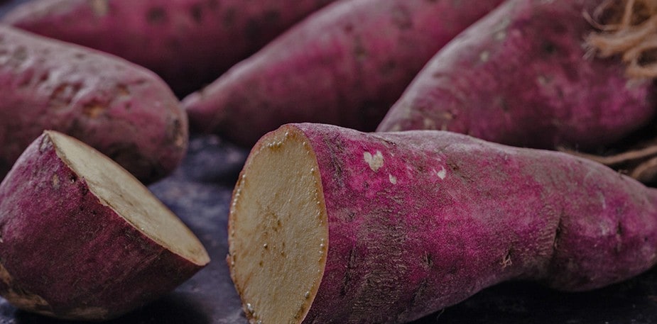 Téléchargez gratuitement notre brochure de recettes végétariennes et réalisées à partir d'ingrédients durables ! 