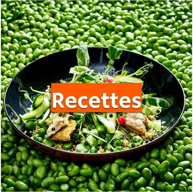 Recettes gourmandes & végétariennes